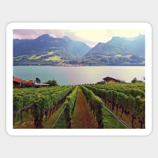 Vineyard in Switzerland Sticker